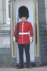 PICTURES/Buckingham Palace/t_Buckingham Palace Guards13.JPG